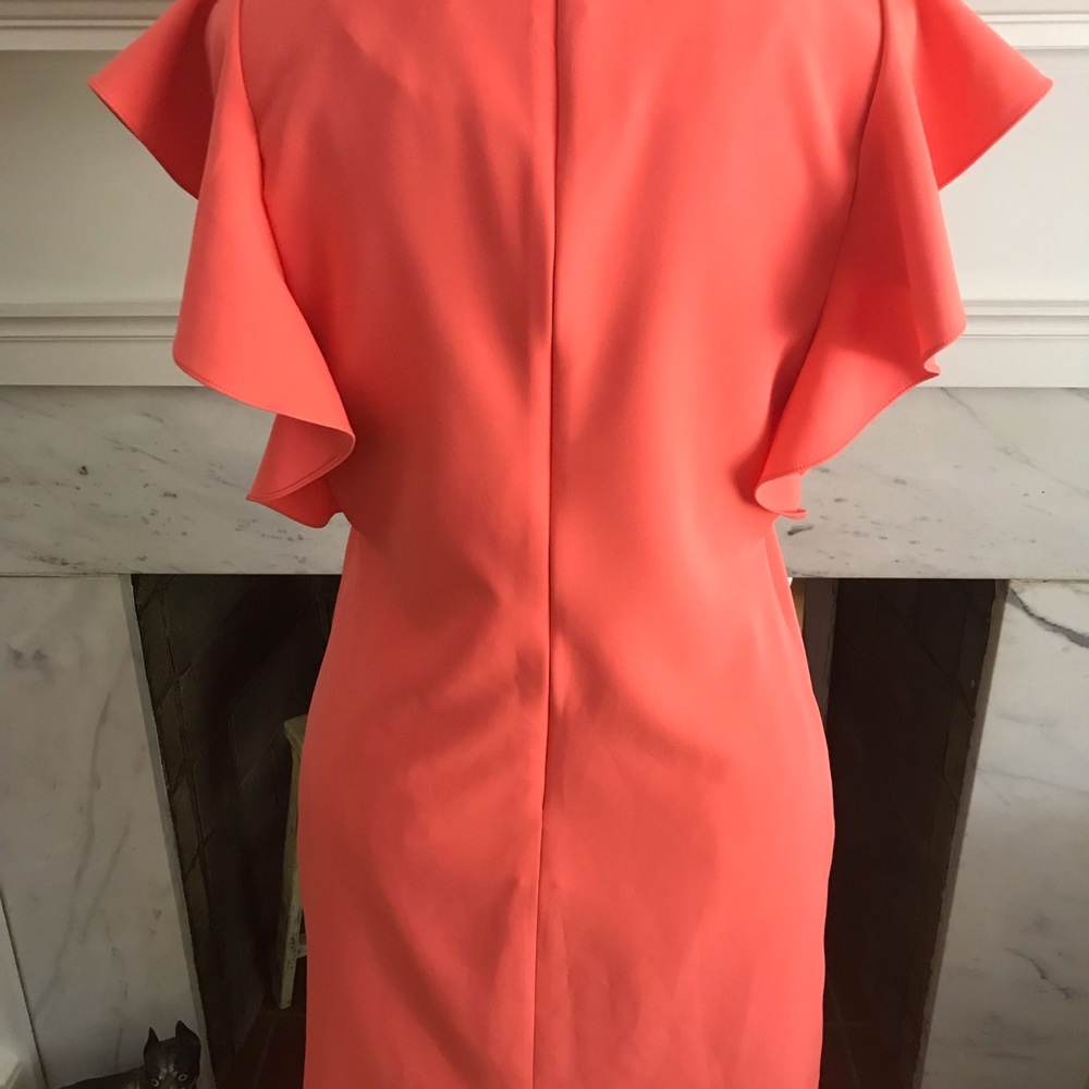 Sheath Dress Ruffled Sleeves - Picture 4 of 5